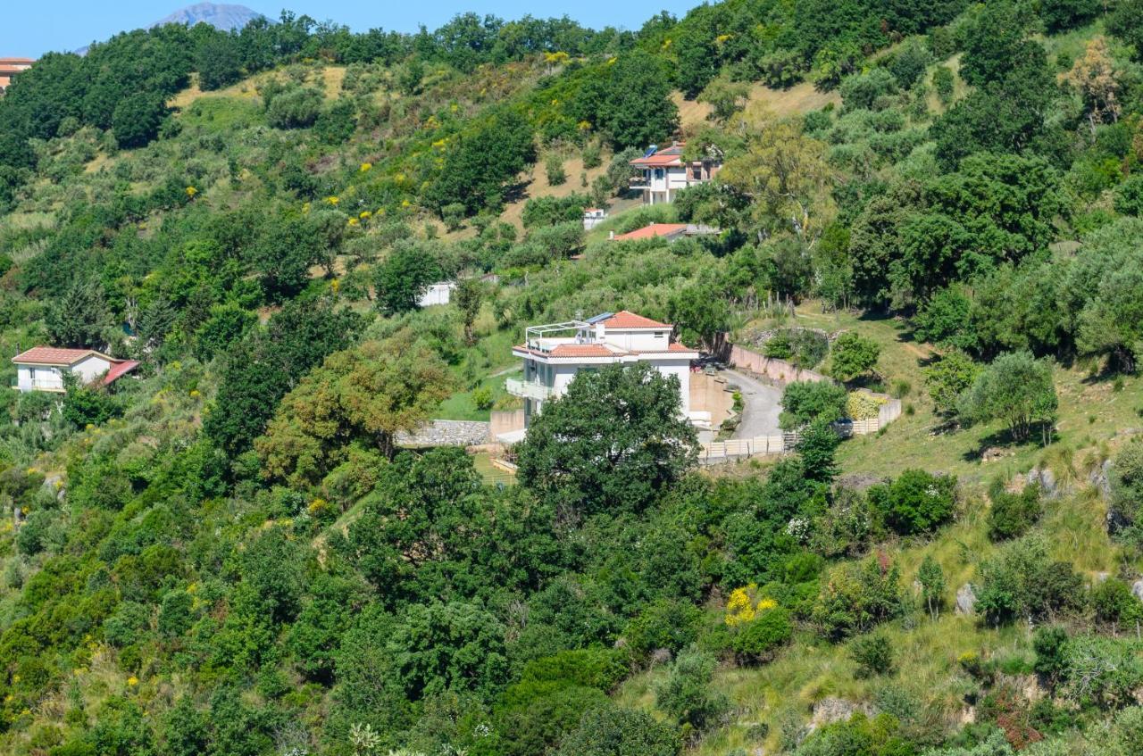 Drius Edode - B&B Affittacamere Torraca ภายนอก รูปภาพ