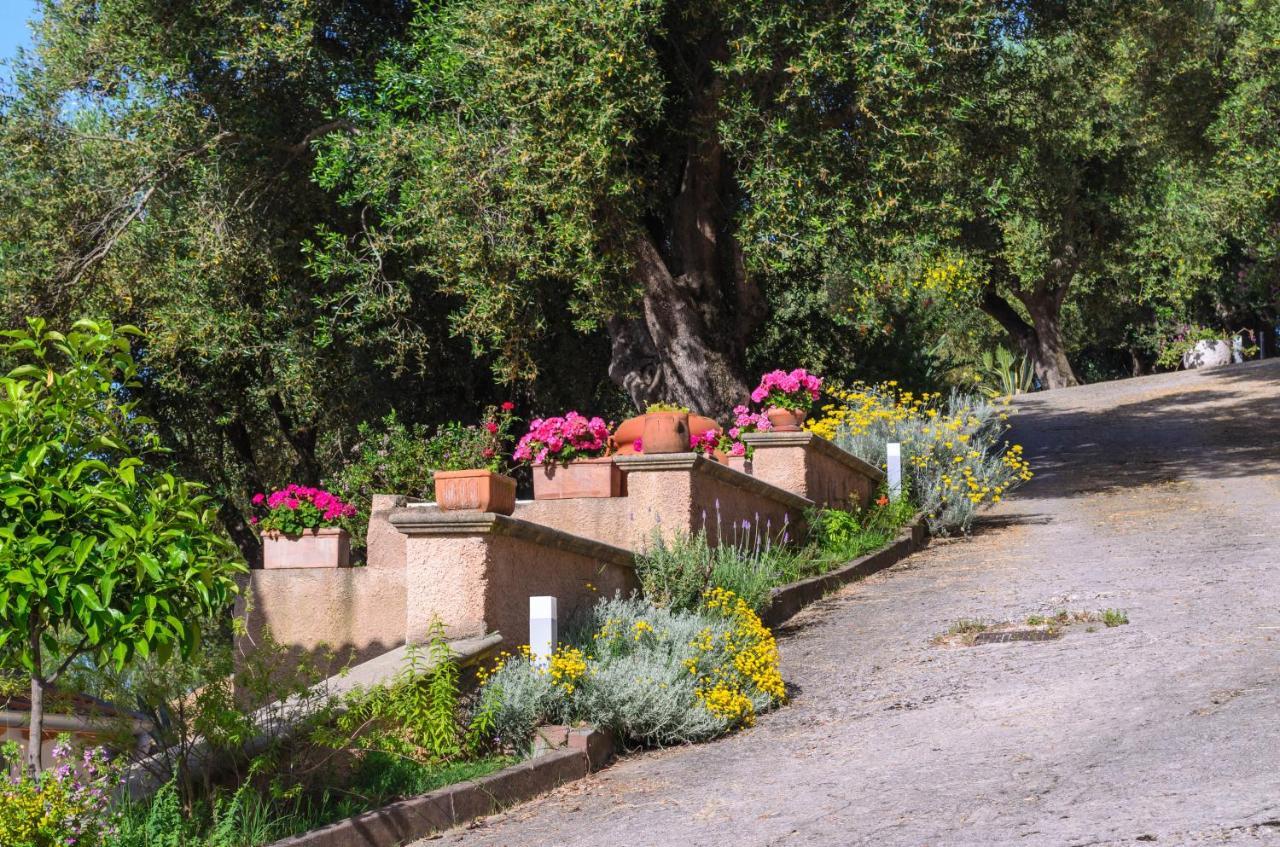 Drius Edode - B&B Affittacamere Torraca ภายนอก รูปภาพ
