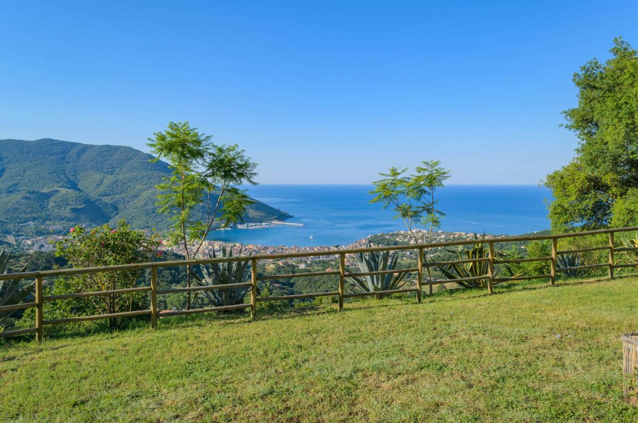 Drius Edode - B&B Affittacamere Torraca ภายนอก รูปภาพ