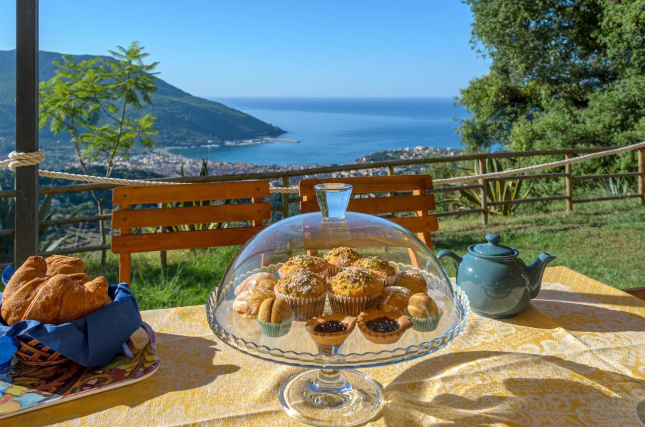 Drius Edode - B&B Affittacamere Torraca ภายนอก รูปภาพ