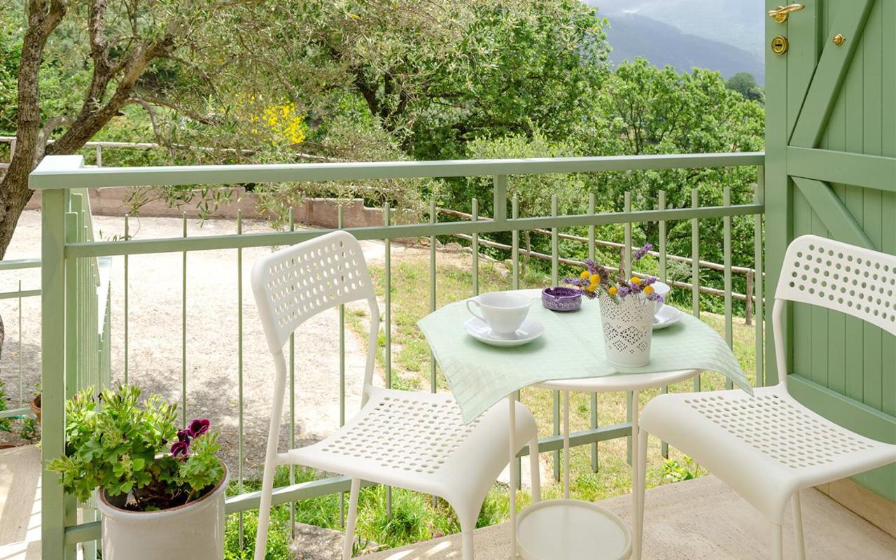 Drius Edode - B&B Affittacamere Torraca ภายนอก รูปภาพ